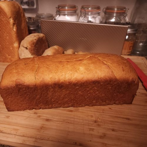 Loafers-16
